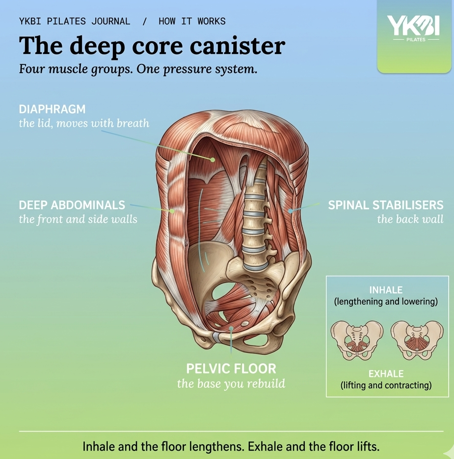 pilates for pelvic floor diagram